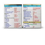 Microsoft Word Guide Kindle Edition 2025 Updated PDF Print Replica-0